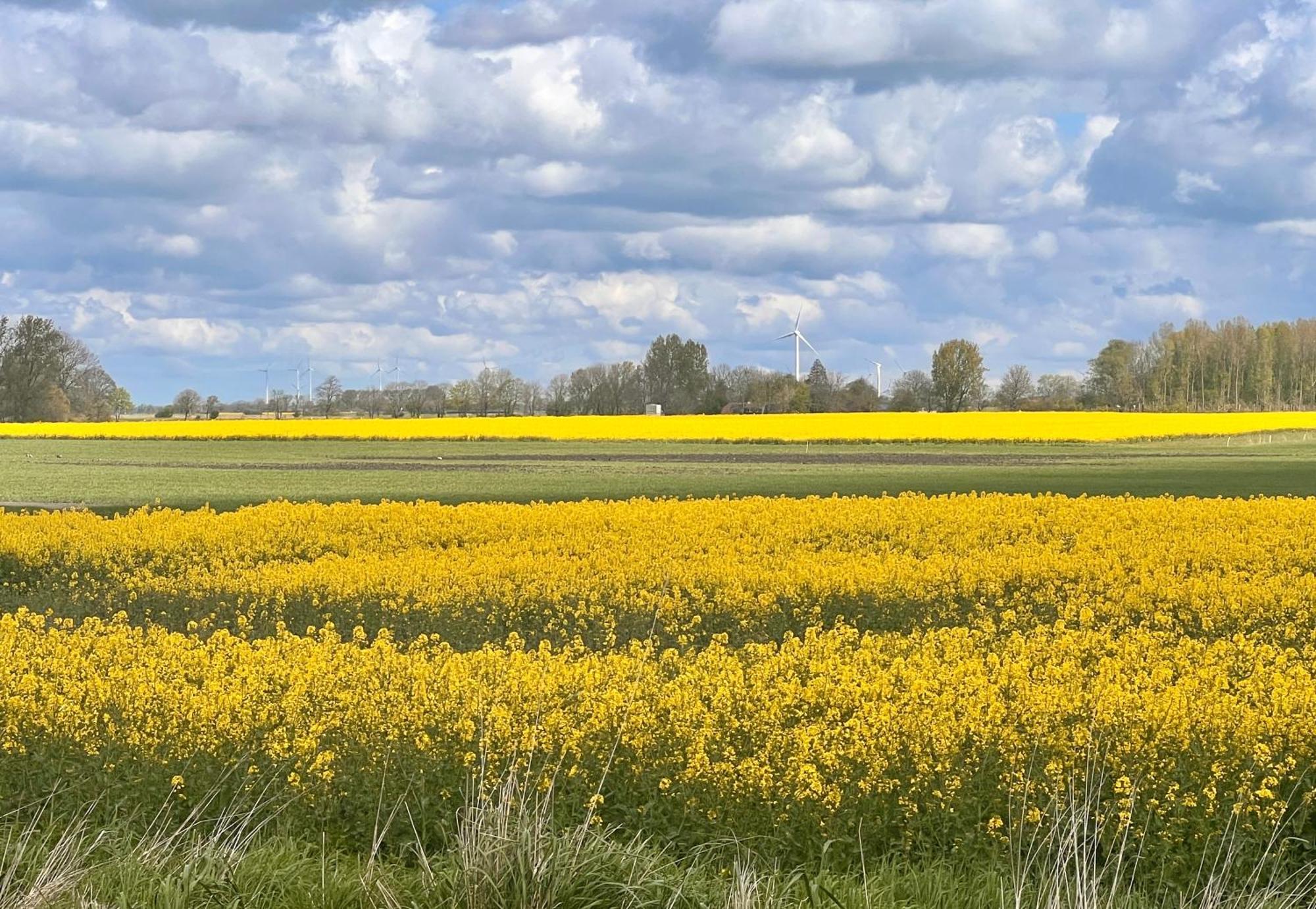 Neues Nordisch Bei Nature By & Bruns Emden